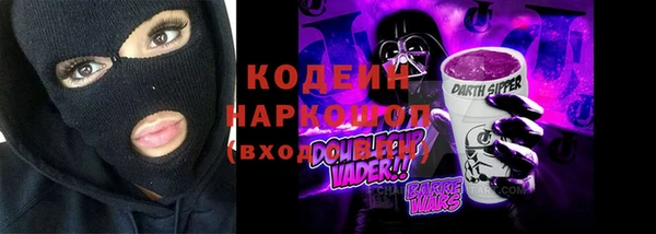 шишки Абаза