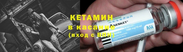 шишки Абаза