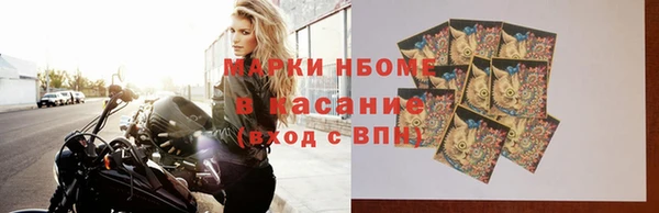 шишки Абаза
